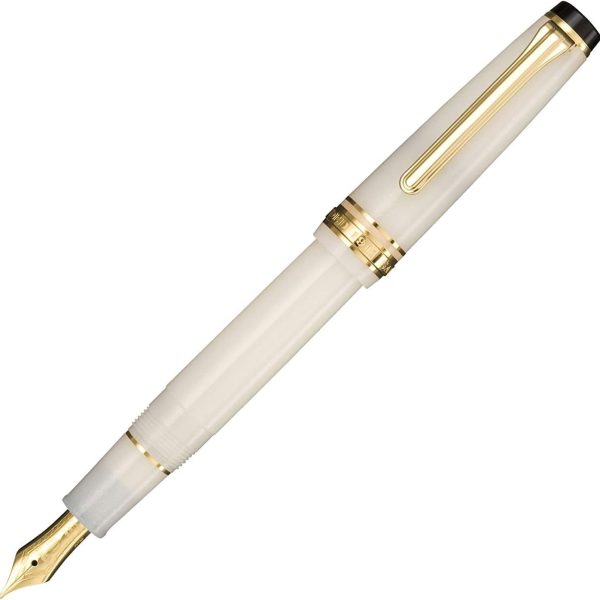 Fountain Pen, Medium-Fine Nib — For Writing, Drawing, Signing, and Sketching
